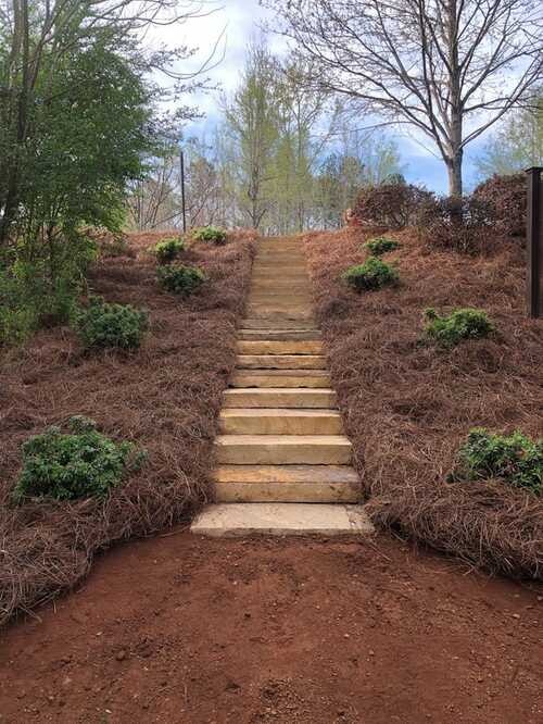 Stone steps through planted beds